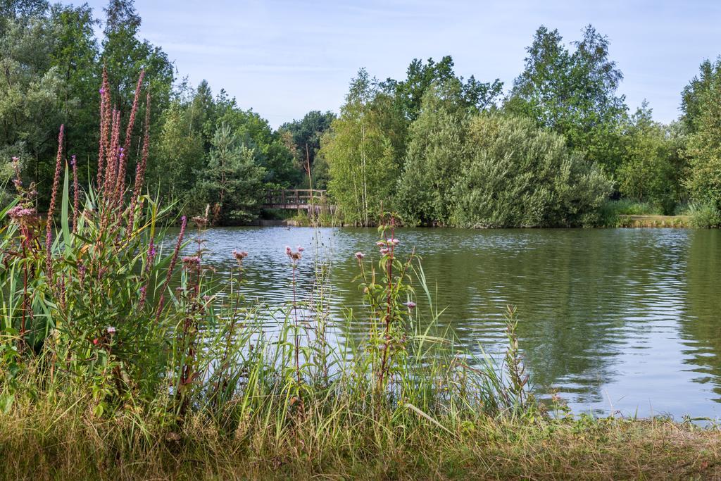מול Oostappen Vakantiepark Zilverstrand מראה חיצוני תמונה